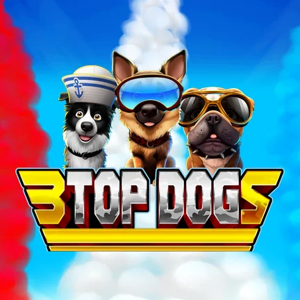 3 Top Dogs