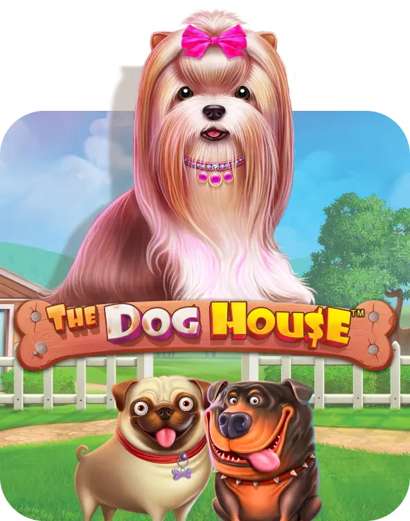 The Dog House