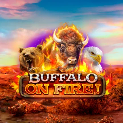 Buffalo on Fire!
