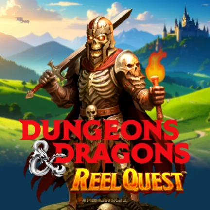 Dungeons And Dragons Reel Quest