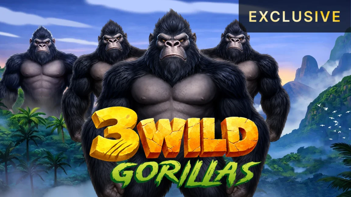 3 Wild Gorillas