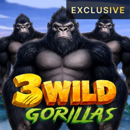 3 Wild Gorillas
