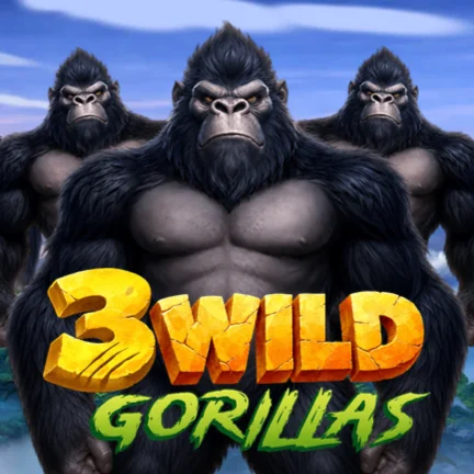 3 Wild Gorillas
