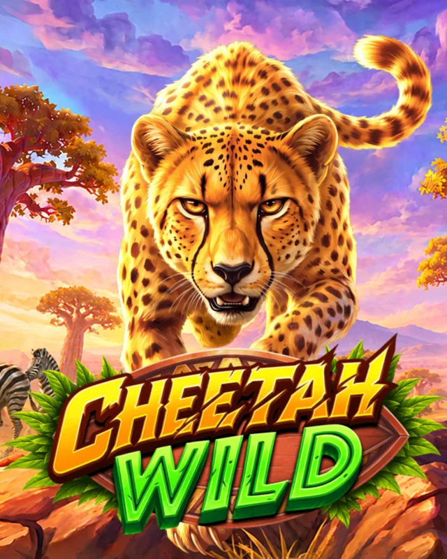Cheetah Wild