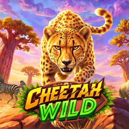 Cheetah Wild