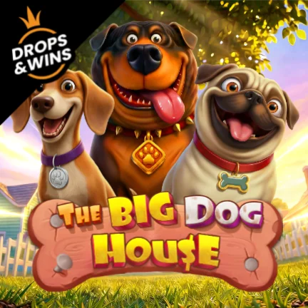 The Big Dog House
